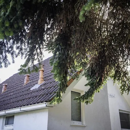 Tatil Evi Campagne 85